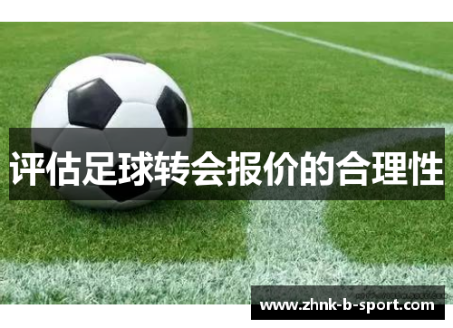 评估足球转会报价的合理性 评估足球转会报价的合理性